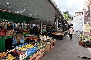 Mercato delle erbe