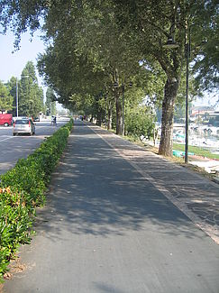 Ciclabile Lungofoglia