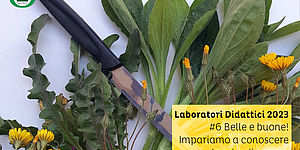 Laboratori Didattici 2023 #6 Parco San Bartolo