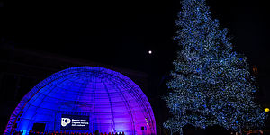 Palco e albero illuminato