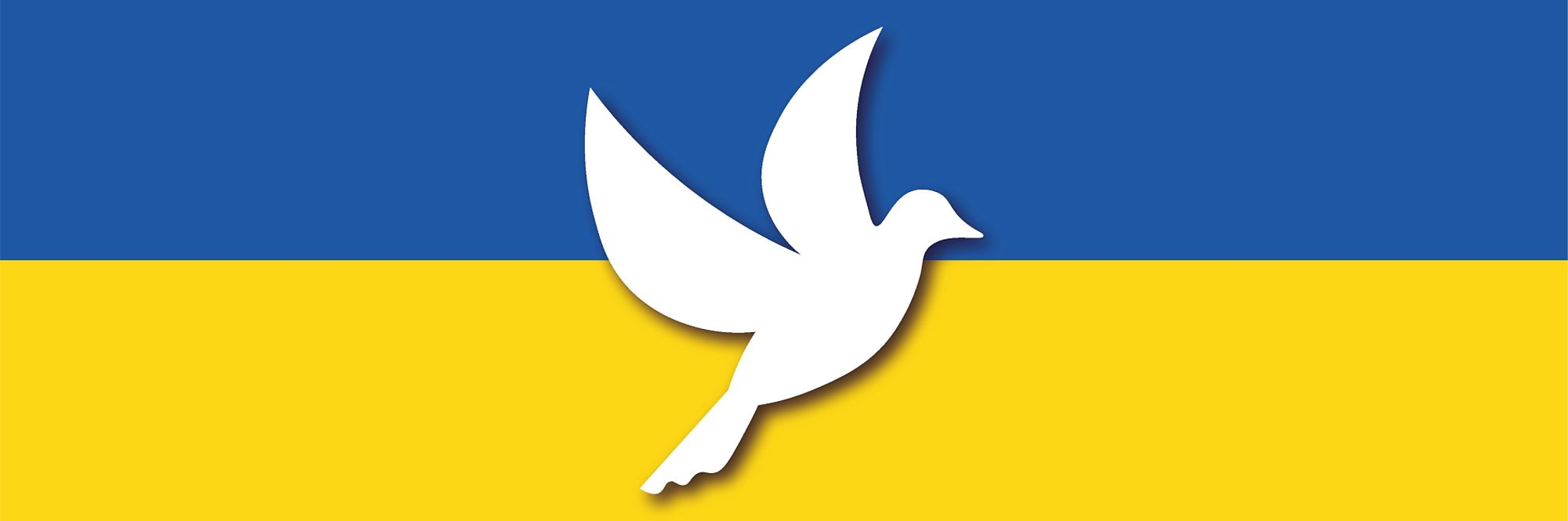 Bandiera Ucraina con disegno colomba