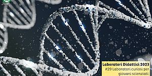 Immagine Laboratori curiosi per giovani scienziati : Genetica!