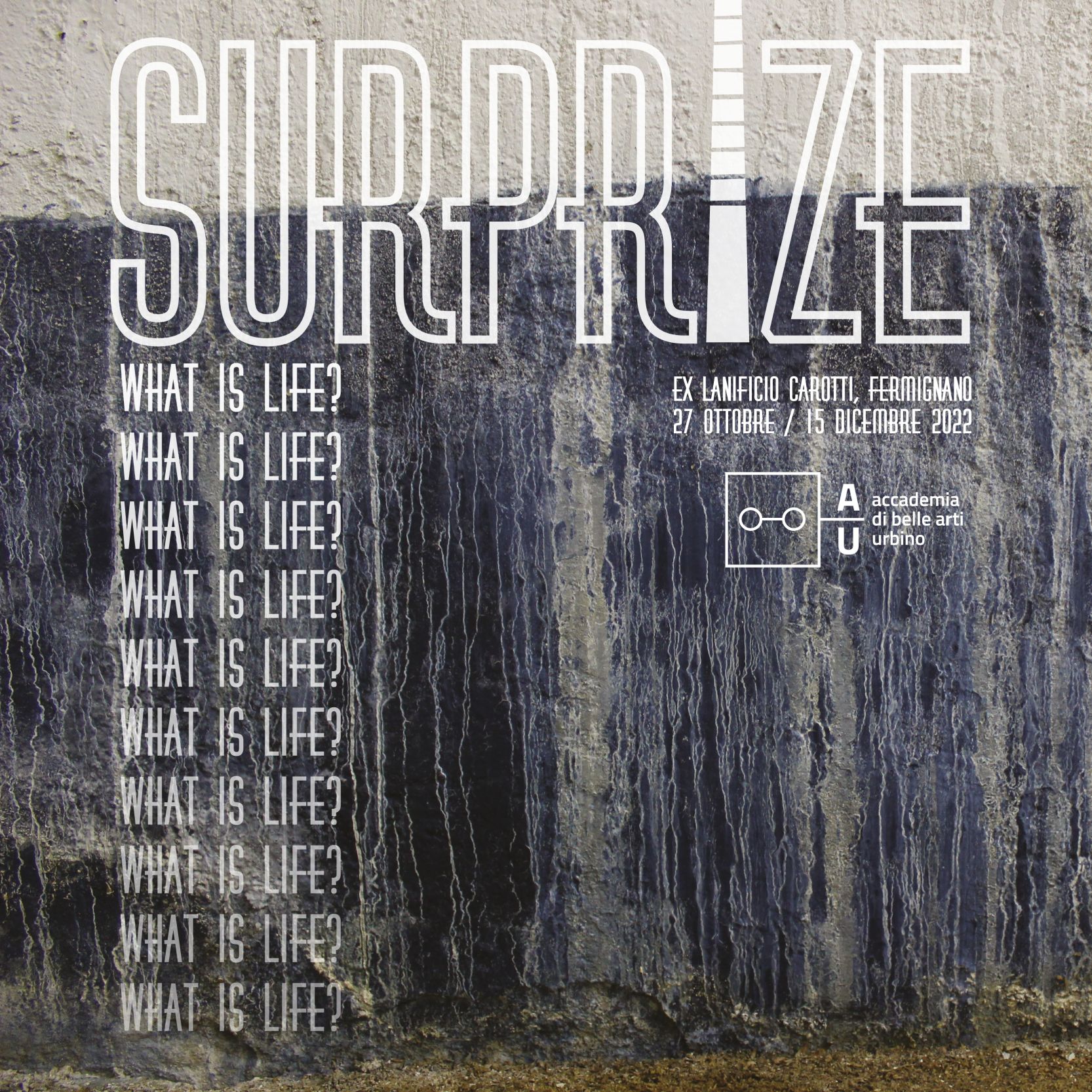 Surprize 4 - What is life?