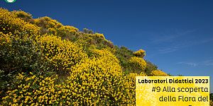 Laboratori Didattici 2023 #9 Alla scoperta della Flora del Parco