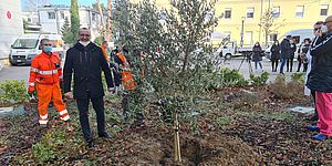 Ricci davanti un ulivo