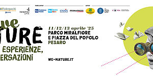 Grafica evento