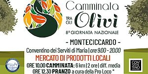 Locandina passeggiata tra gli olivi