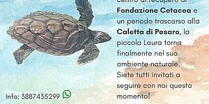 locandina Rilascio Tartaruga marina "Laura"