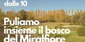 Locandina Puliamo insieme il bosco del Miralfiore