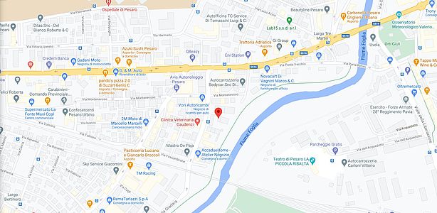 mappa palestra scuola cantarini