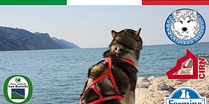 'mare & monti', settima edizione