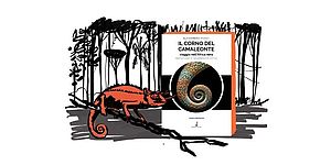 immagine copertina del libro e disegno camaleonte