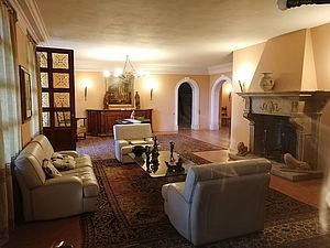 Villa Meuccia salone interno con camino