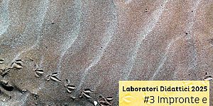 Immagine laboratorio Impronte e indizi degli animali