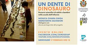 Bambino che guarda conchiglie