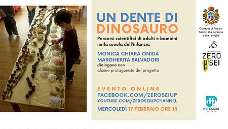 Bambino che guarda conchiglie