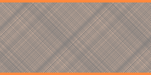 Elezioni regionali 2025