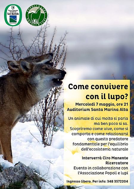 locandina di Come convivere con il lupo