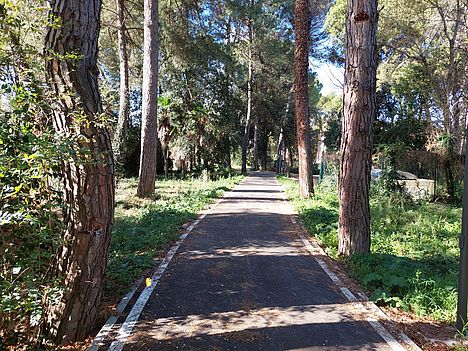 Foto ciclabile via dell'Acquedotto