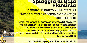 Pulizia spiaggi a Baia Flaminia per iniziaitiva "cotton fioc"