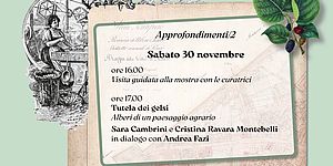 VIE DI SETA PESARESI. FILANDE A PESARO FRA XIX E XX SECOLO