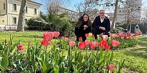 Murgia Pieri con tulipani
