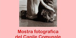 Mostra del canile alla mezzanotte bianca dei bambini