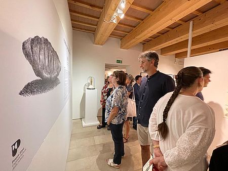 Pubblico alla mostra