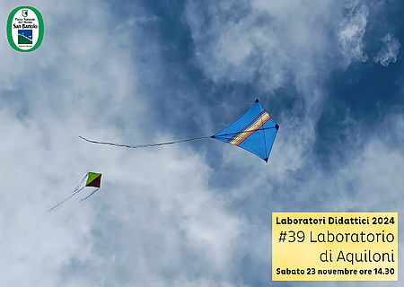 fotografia di due aquiloni che volano in cielo, uno verde e nero e uno blu con delle righe colorate al centro