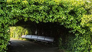 Parco Miralfiore