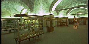 Sala Museo Oliveriano 