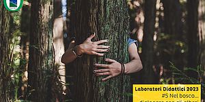 Laboratori Didattici 2023 #5 Nel bosco...dialogare con gli alberi