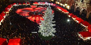 albero e bancarelle della piazza illuminate