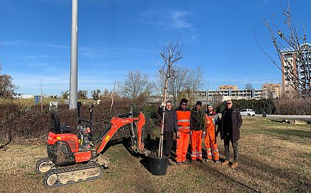 Belloni con operai che paintano alberi