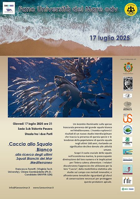 Locandina incontro Caccia allo Squalo Bianco