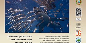 Locandina incontro Caccia allo Squalo Bianco