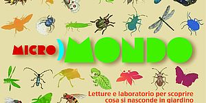 Micromondo. locandina