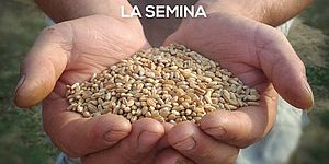 Locandina iniziativa La semina al Parco Miralfiore