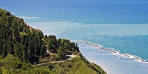 collina verde con mare