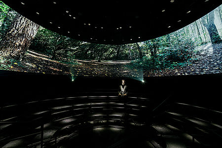 Sonosfera® ph_copyright Alexdemilia