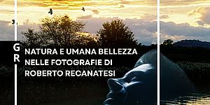 Natura e bellezza nelle fotografie di Roberto Recanatesi