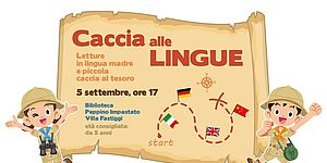 Grafica evento