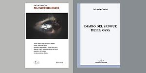 particolare immagine locandina copertine libri