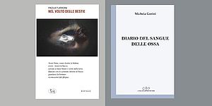 particolare immagine locandina copertine libri