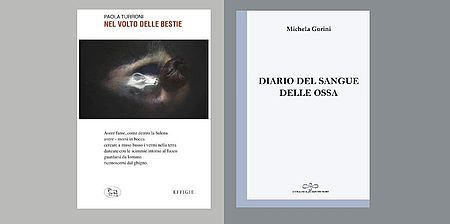 particolare immagine locandina copertine libri