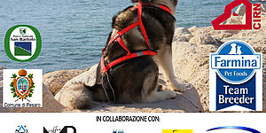 Mari&Monti locandina