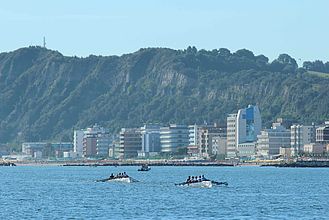 costal rowing 2014