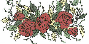 Disegno di alcune rose