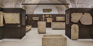 interno del museo Oliveriano