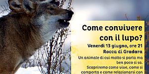 locandina di Come convivere con il lupo